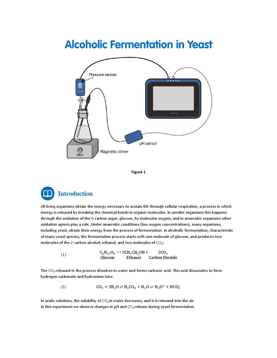 Alcoholic Fermentation in Yeast by Fourier Education - Issuu