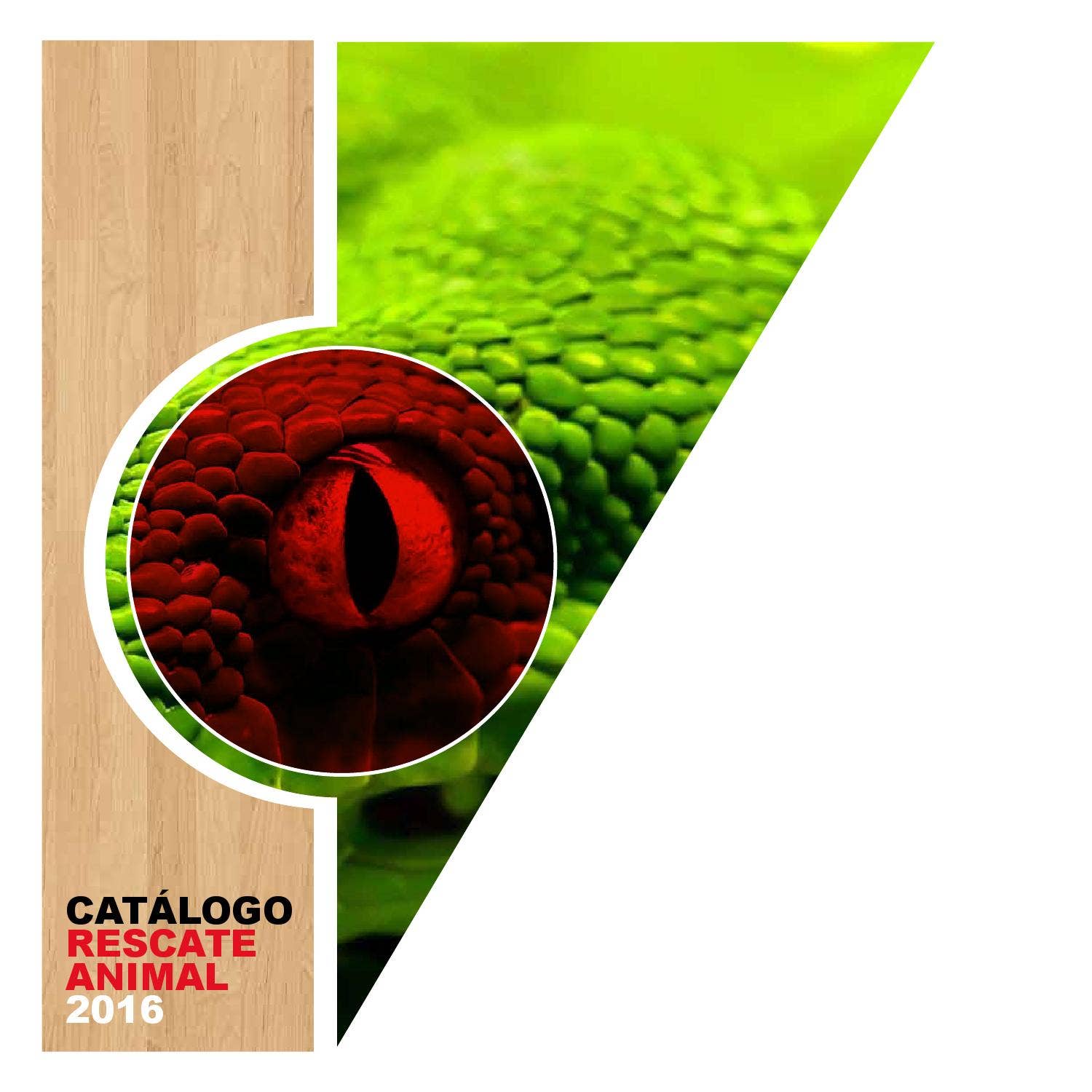 Equipos de Manejo y Rescate de Fauna Silvestre by INVOTOR, S.A. - Issuu