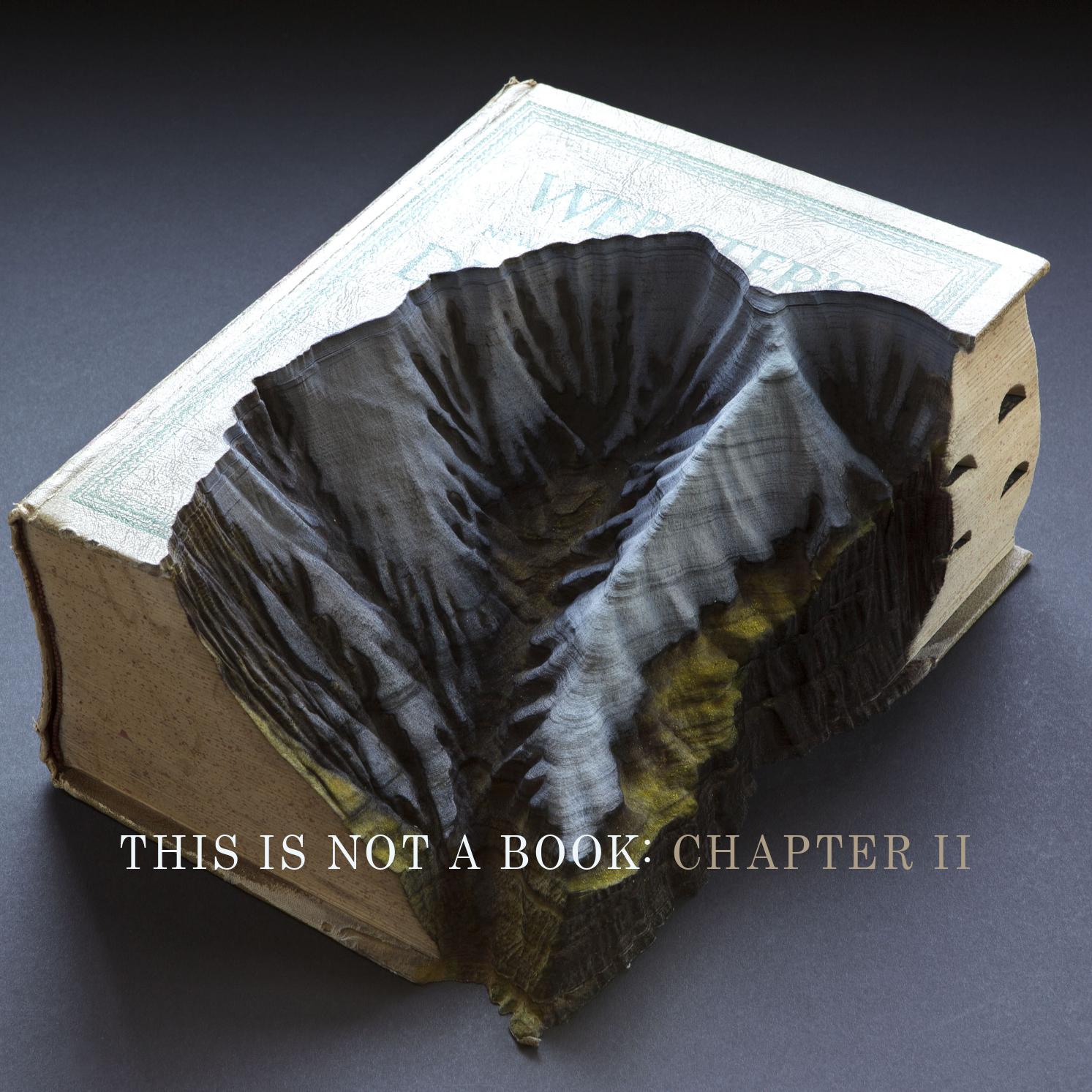 This is Not a Book Chapter II by Seager Gray Gallery Issuu