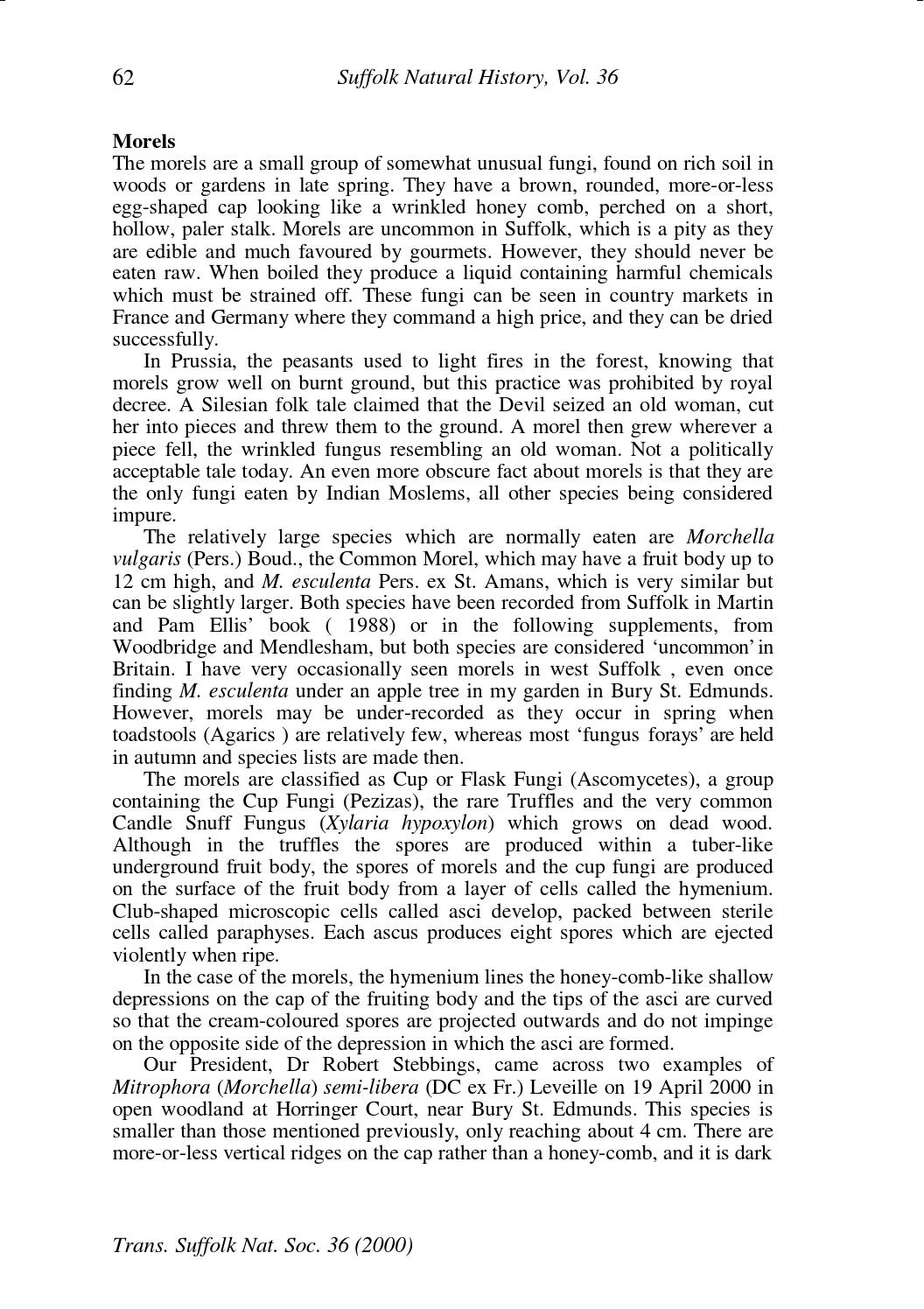 Morels by Suffolk Naturalists' Society Issuu
