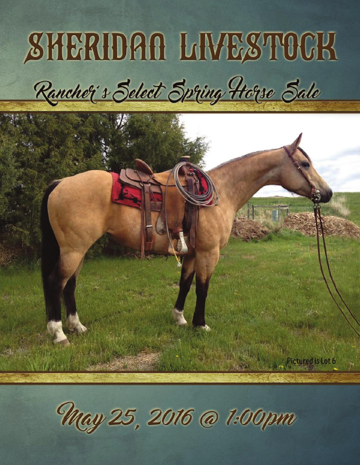 Sheridan Livestock 2016 Rancher's Select Spring Horse Sale by