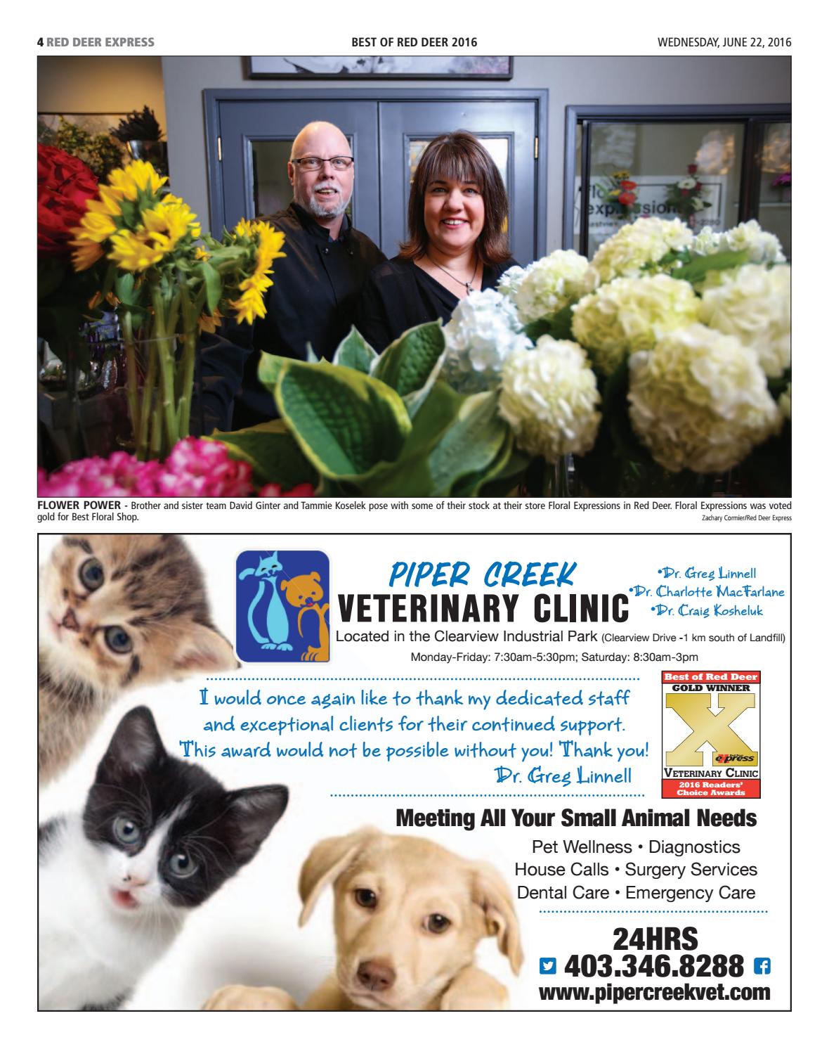 clearview dog and cat hospital red deer