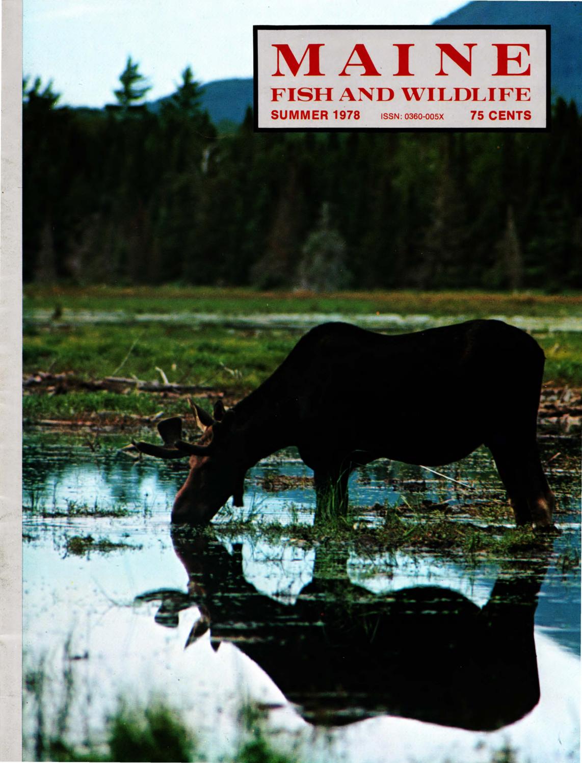 Maine Fish and Wildlife Magazine, Summer 1978 by Maine State Library Issuu