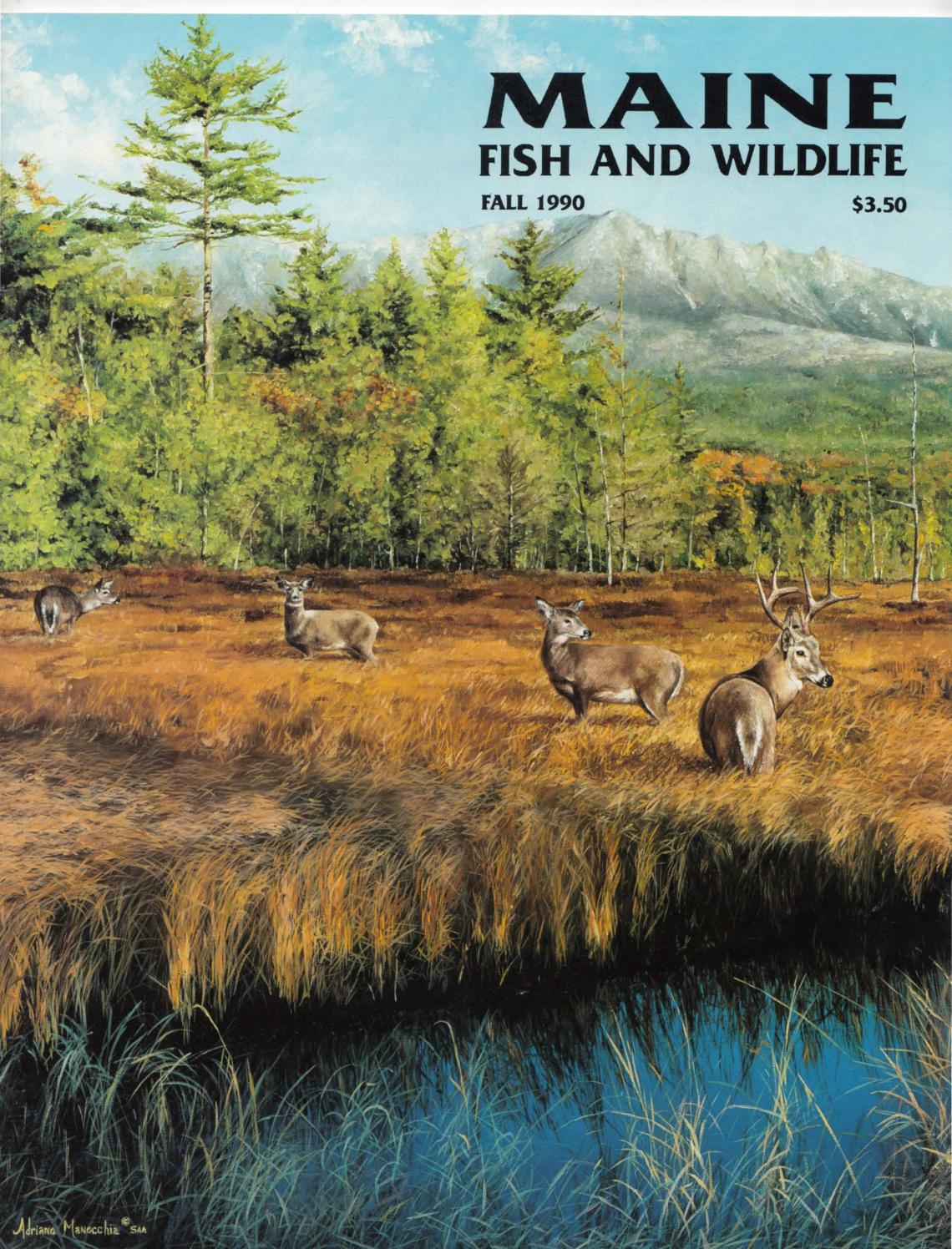 Maine Fish and Wildlife Magazine, Fall 1990 by Maine State Library Issuu