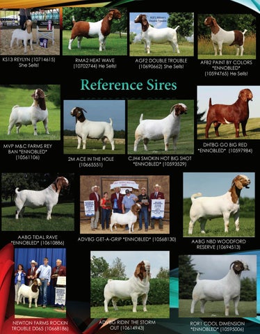 July_August by American Boer Goat Association - Issuu