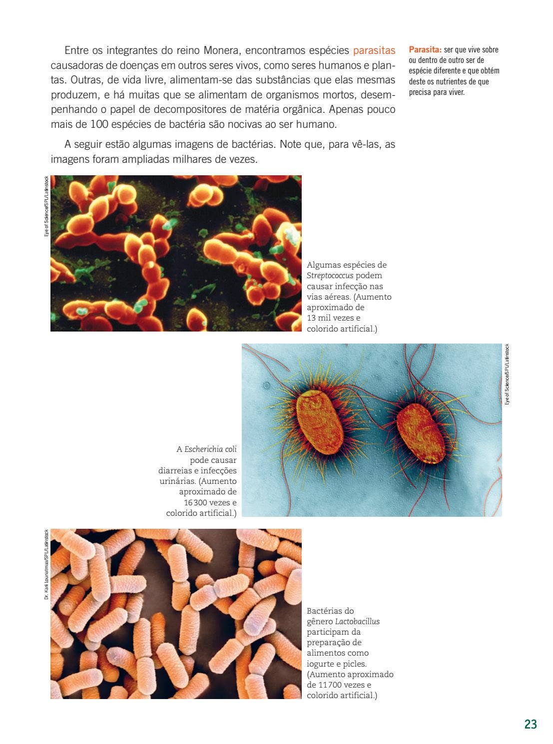 Issuu