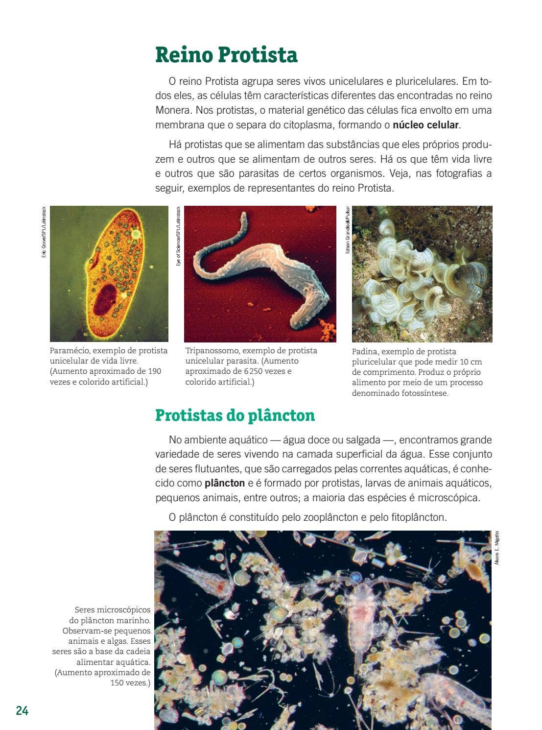 7ciencias by FTD Educação - Issuu