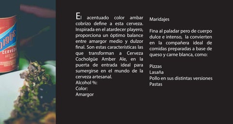 Cocholgue 第 13 页