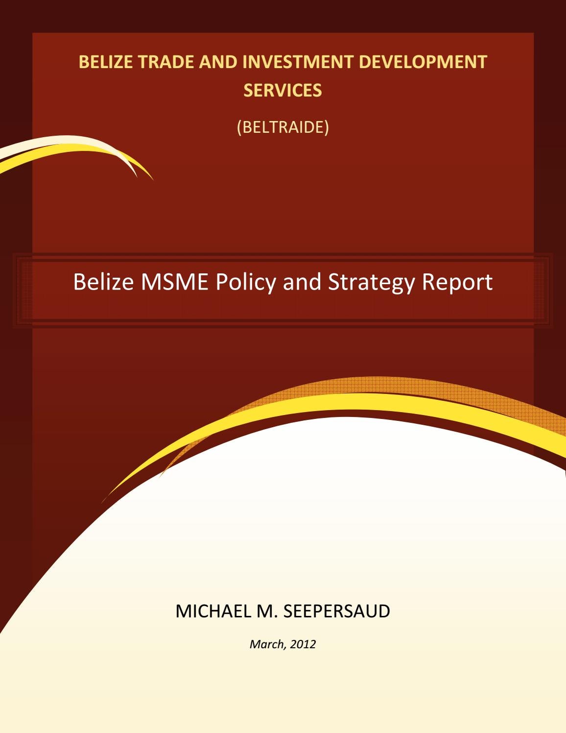 Belize MSME Policy And Strategy Report By Beltraide Issuu