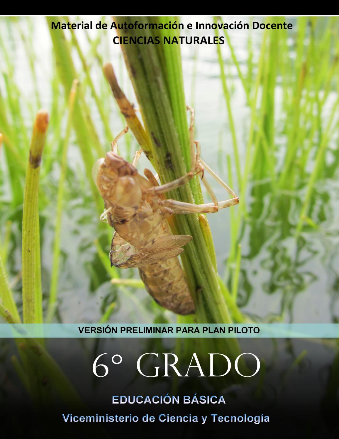 Que Particulas Subatomicas Pueden Escapar Del Atomo Y Quedar Libres Sexto Grado by Arnoldo Romero - Issuu