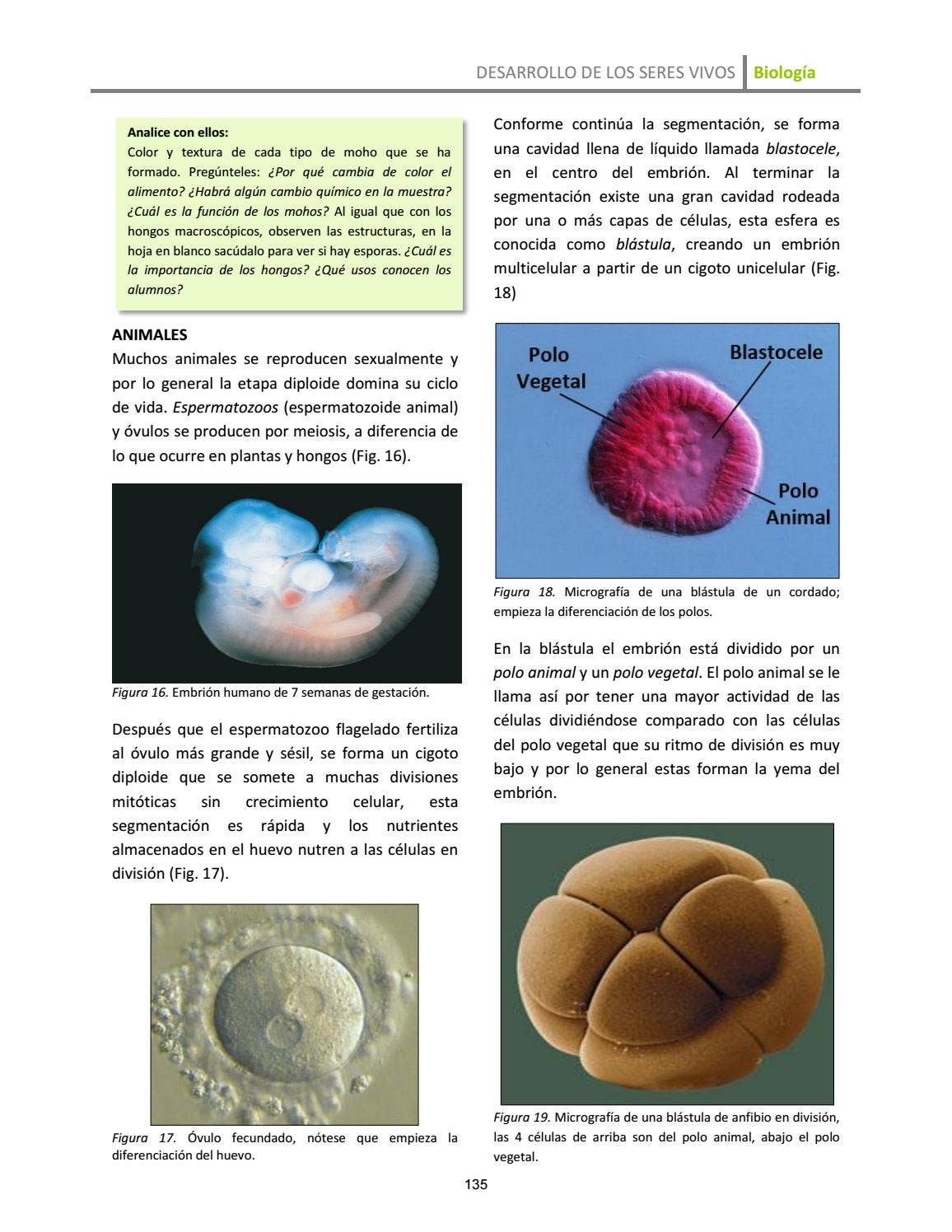 Septimo Grado Biología by Arnoldo Romero - Issuu