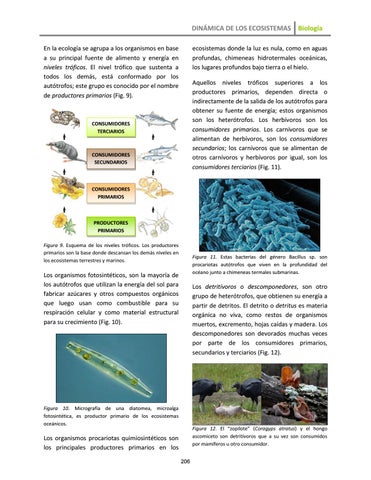 Page 223