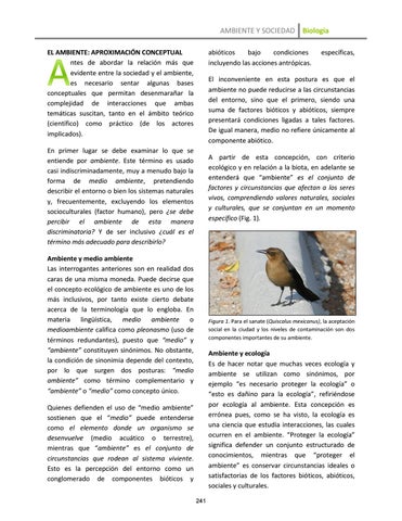 Page 258
