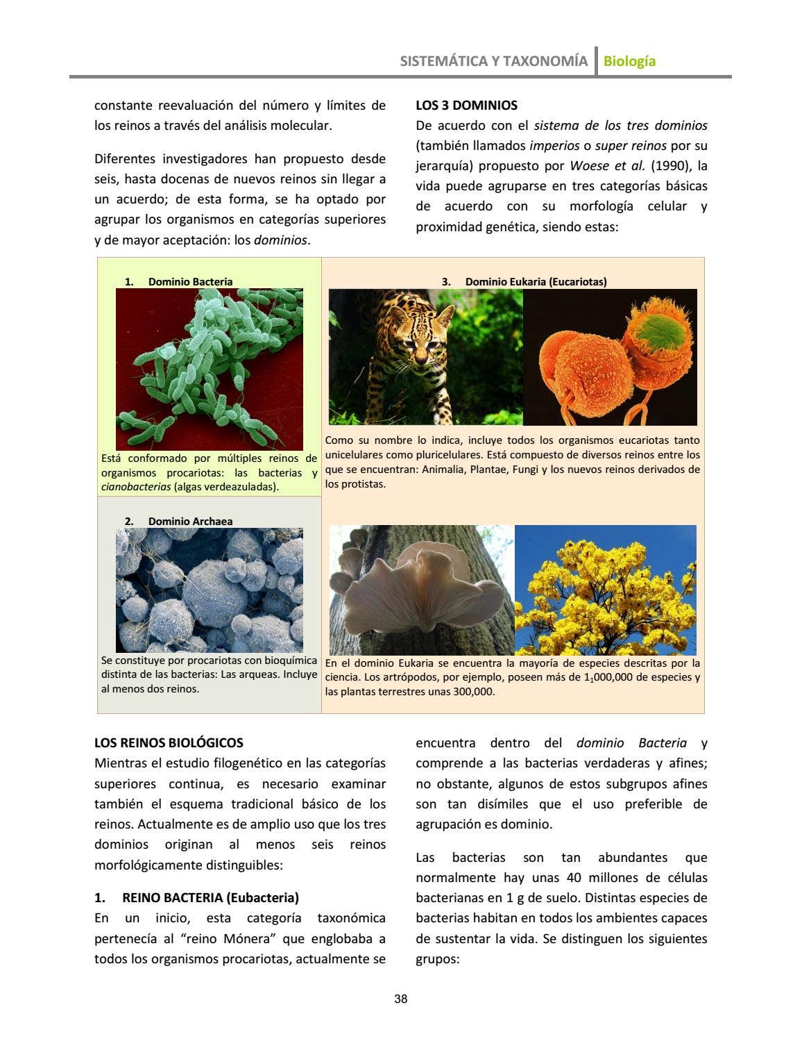 Septimo Grado Biología by Arnoldo Romero - Issuu