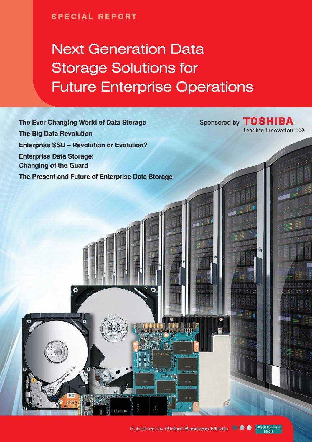 CEO Reports – Next Generation Data Storage Solutions for Future ...