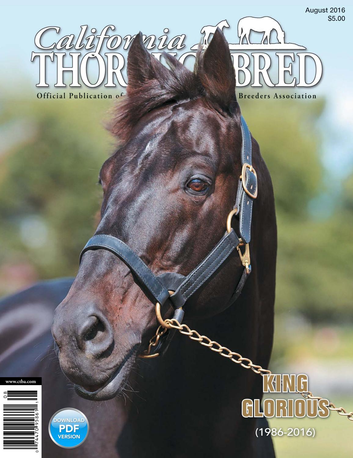 TÉLÉCHARGER PUR SANG LA L GENDE DE SEABISCUIT DVDRIP GRATUIT