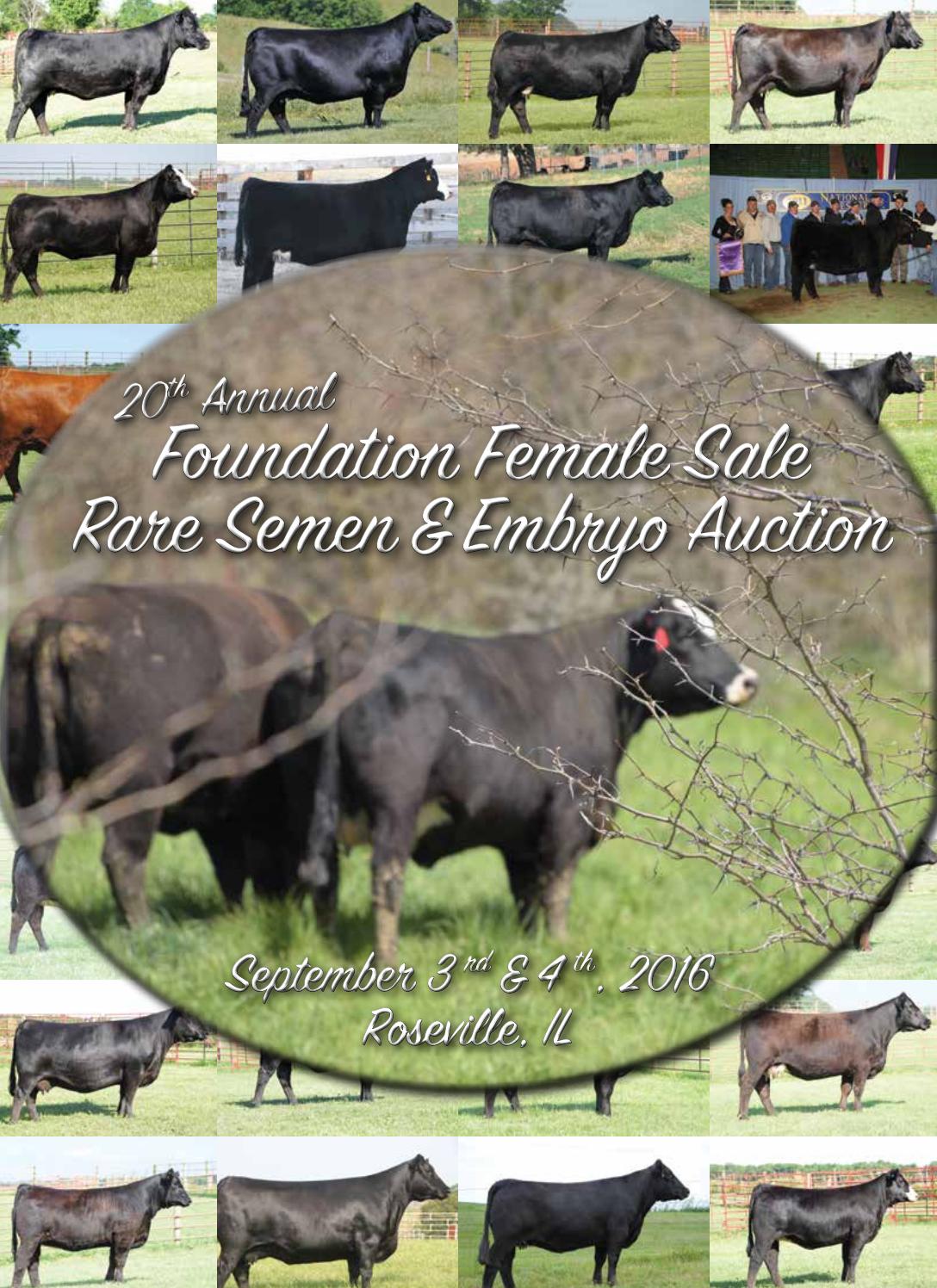 2016 Foundation Female Sale by Dwyer Cattle Services Issuu