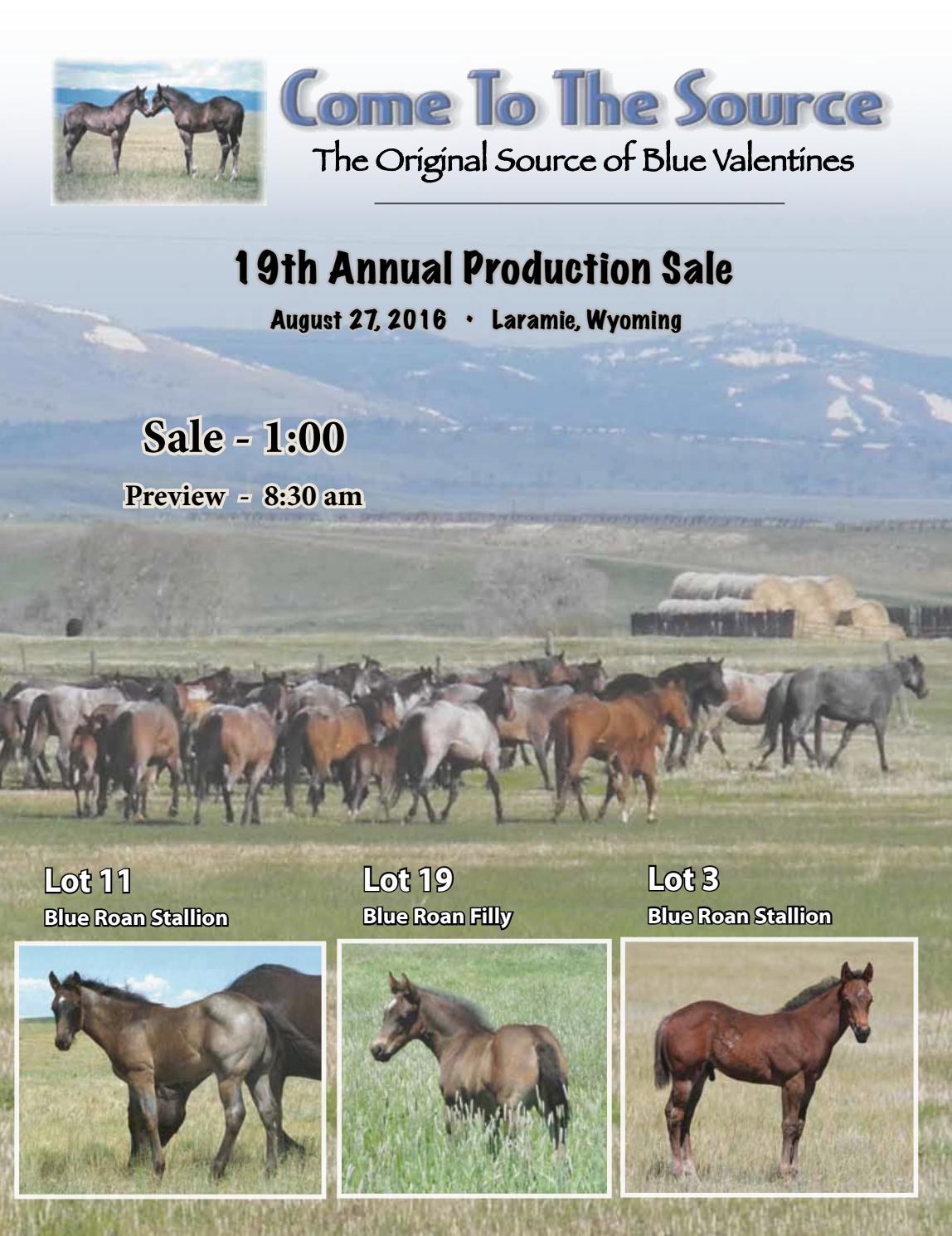 2016 Come To The Source Horse Sale Catalog by Kathy Merritt Issuu