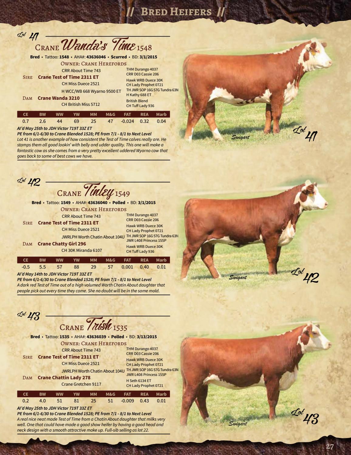 Hereford Fall Classic Sale by Generation 6 Marketing Issuu
