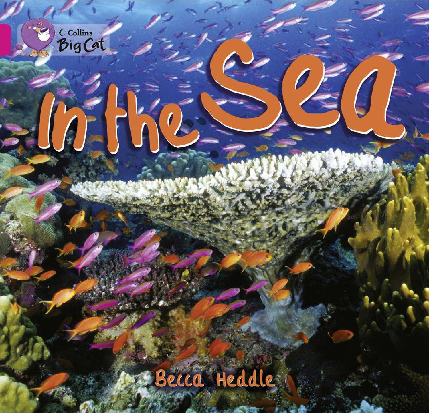 In the Sea by Collins - Issuu