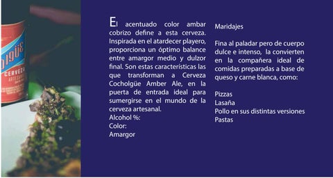 Cocholgue 第 13 页