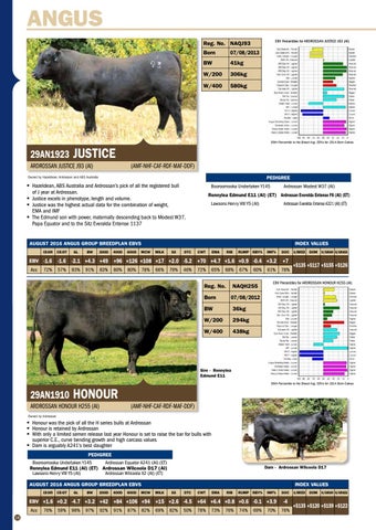 201617 Australian Beef Sire Directory Angus & Red Angus breeds by