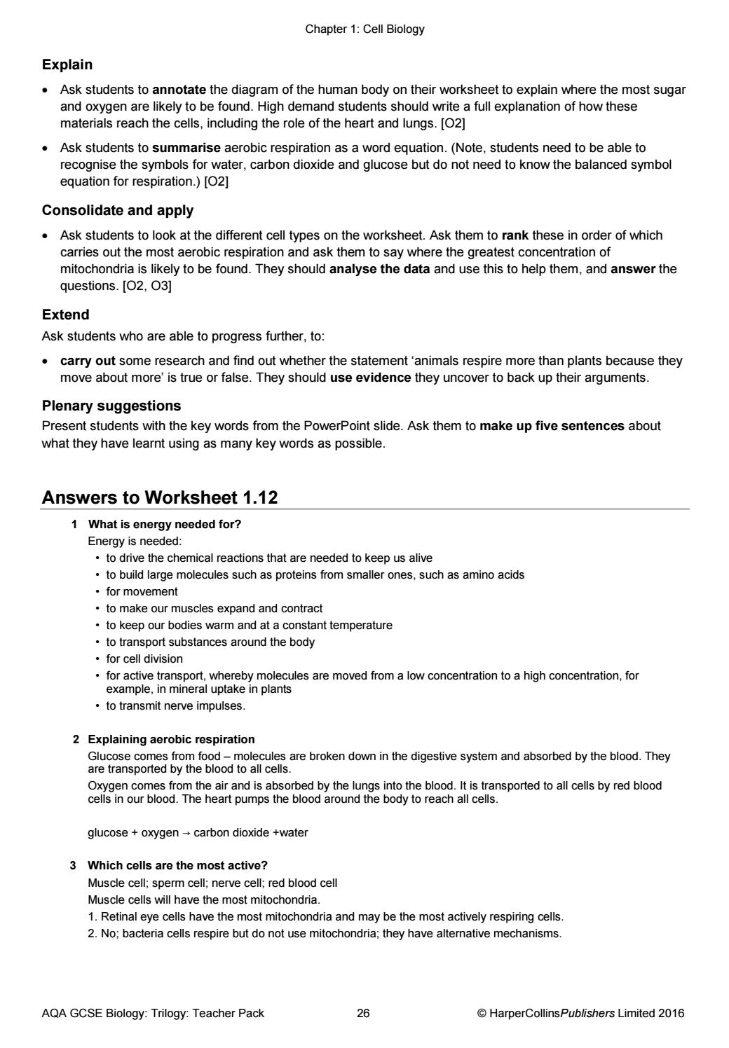 worksheet What Should I Know About Respiration Worksheet aqa gcse 9 1 combined science trilogy teacher pack by collins issuu