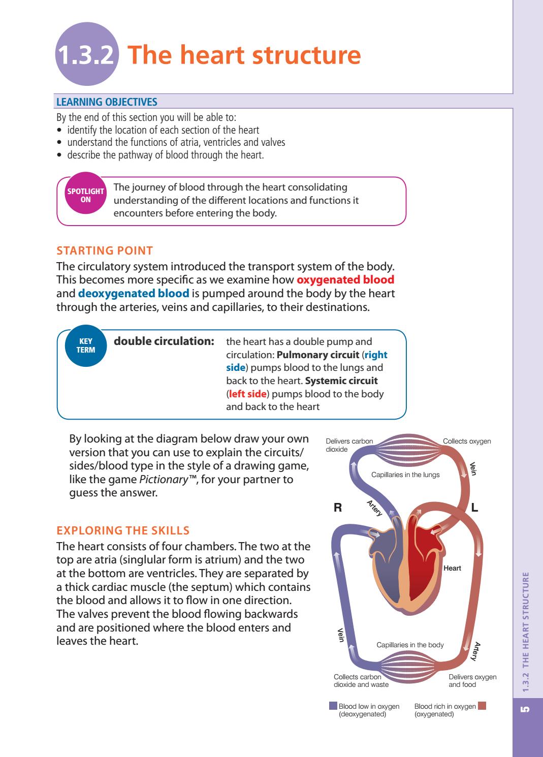 Cambridge IGCSE Physical Education Student Book by Collins - Issuu