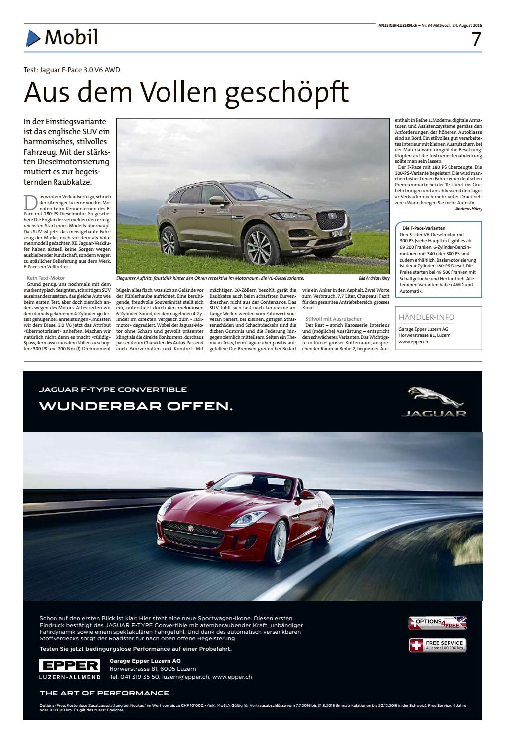 Die Schülerinnen und Schüler bei ihrem Einsatz auf der Allmend. (Bild: Andrea Stalder)