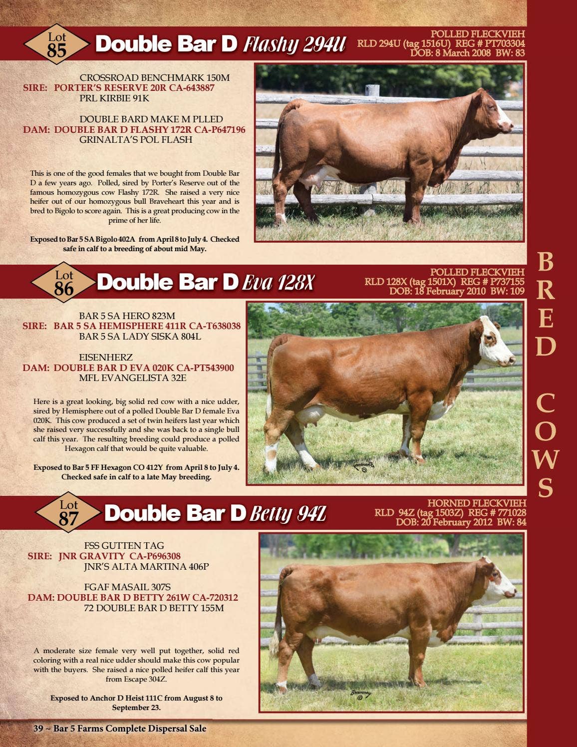 Bar 5 Farms Complete Dispersal by Today's Publishing Inc. Issuu