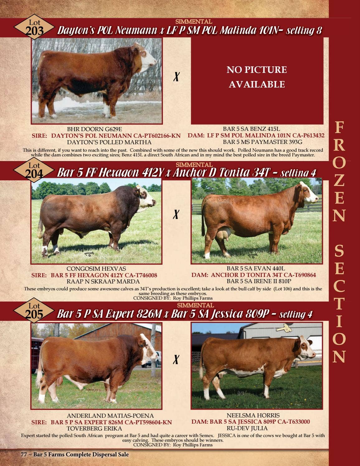 Bar 5 Farms Complete Dispersal by Today's Publishing Inc. Issuu