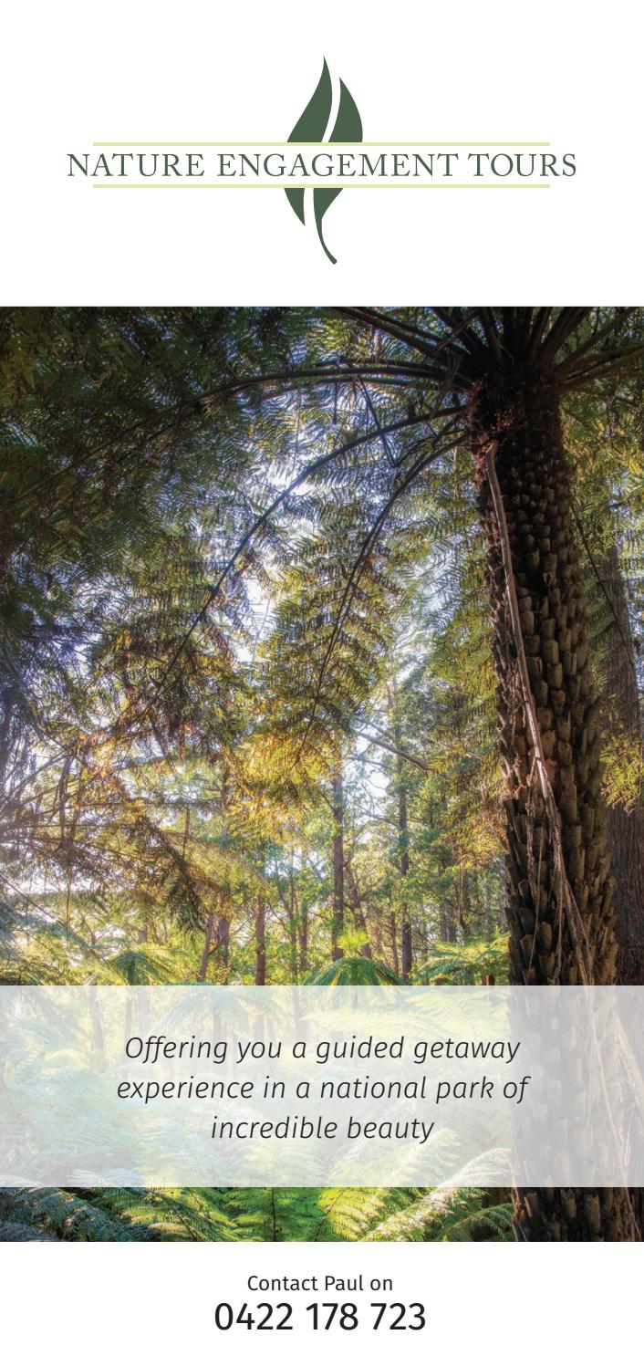 Nature Engagement Tours by Visit Shoalhaven Issuu