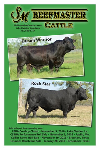 The Beefmaster Pay Weight: Fall 2016 Issue by Beefmaster Breeders ...