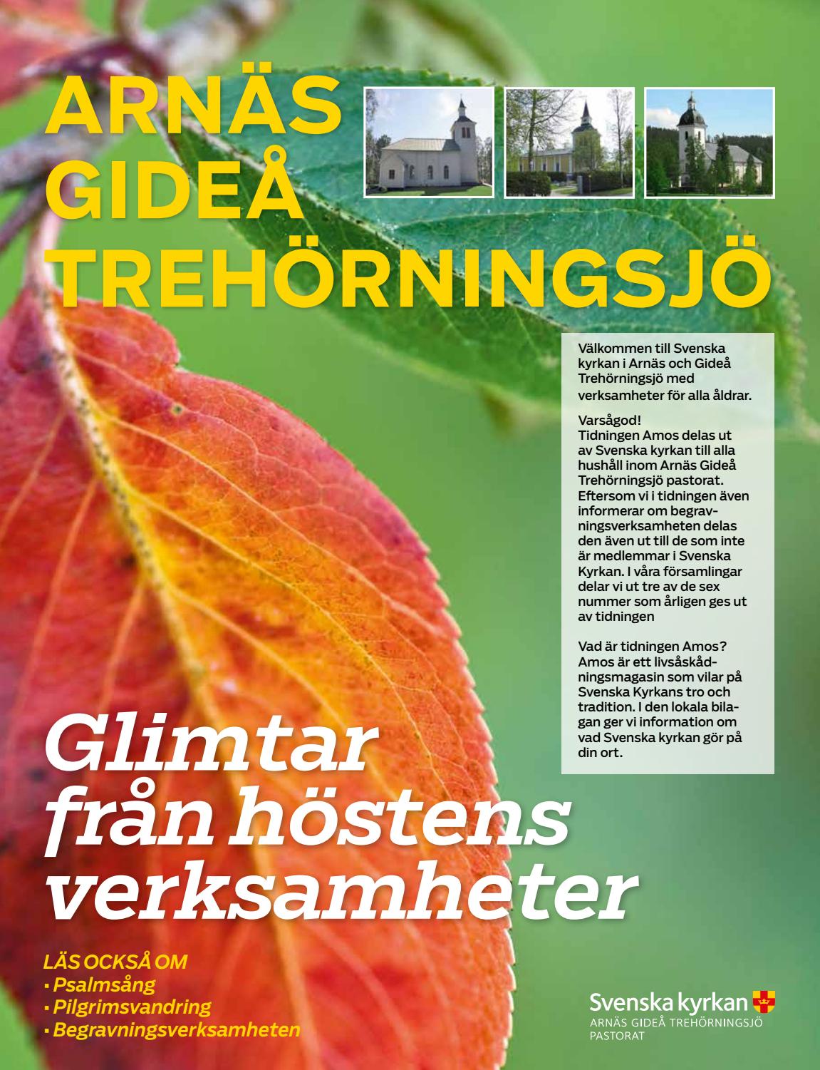 rnskldsviks kommun ldreboende. Arnsgrden Bjstagrden rnskldsviks kommun Mtesplatser och sllskap. Trffpunkter i rnskldsvik Visa i sk. rnskldsviks kommun | redteksystems.net