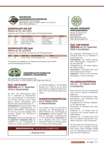 Page 61