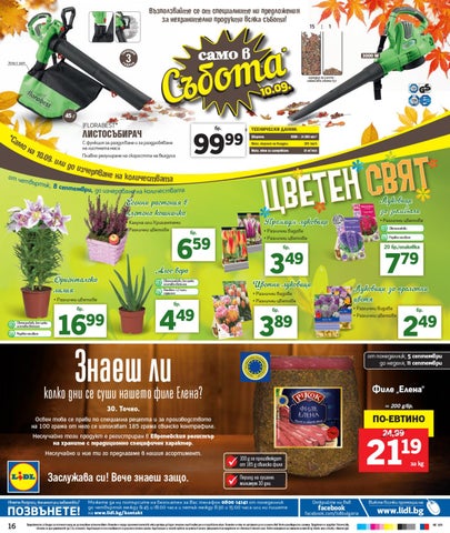 PromoOferti.com 灯饰目录 · Lidl 第 16 页