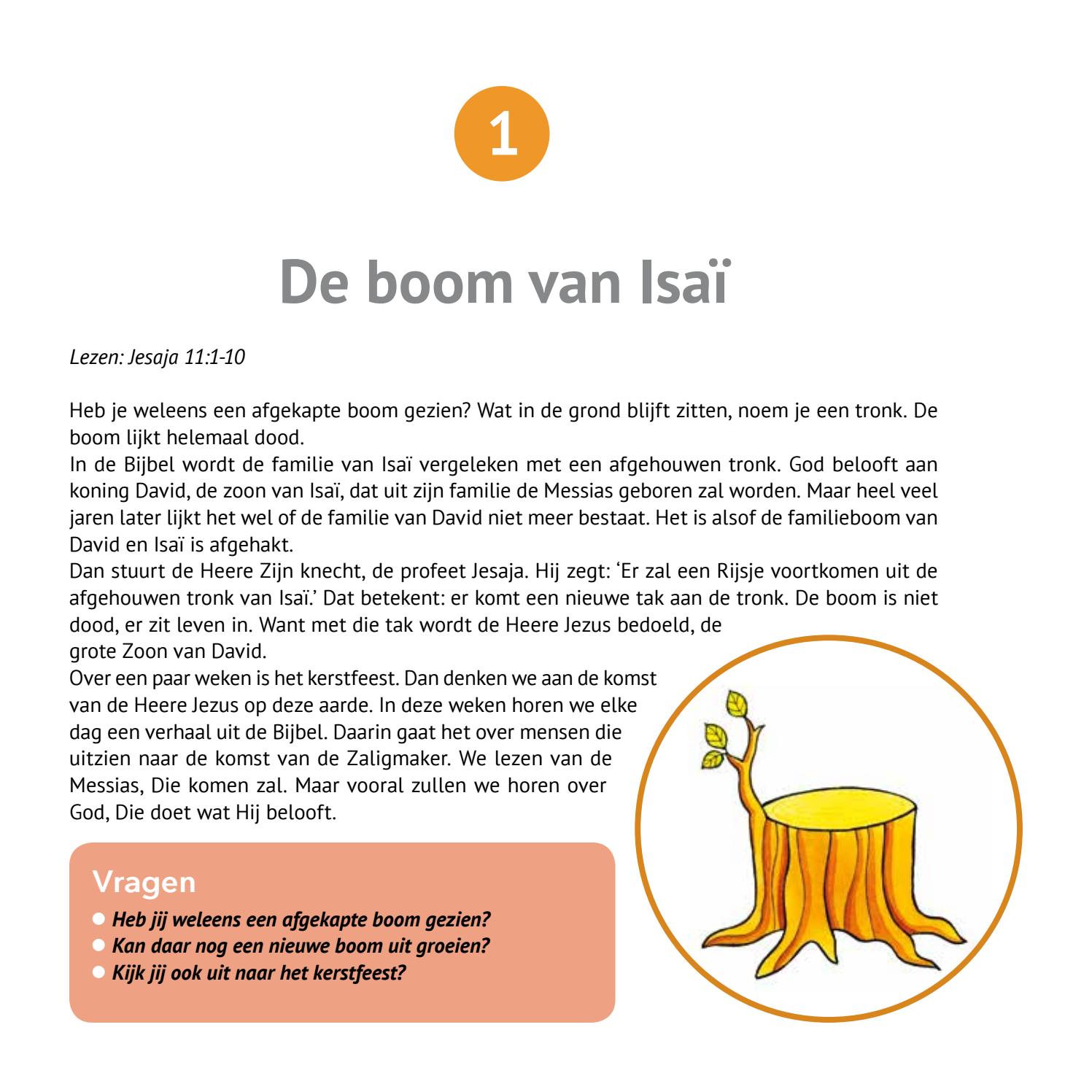 deboomvanisaie by Erdee Media Groep Issuu