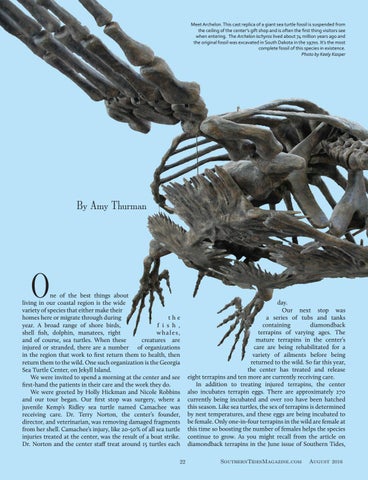 Southern Tides August 16 By Southern Tides Magazine Issuu