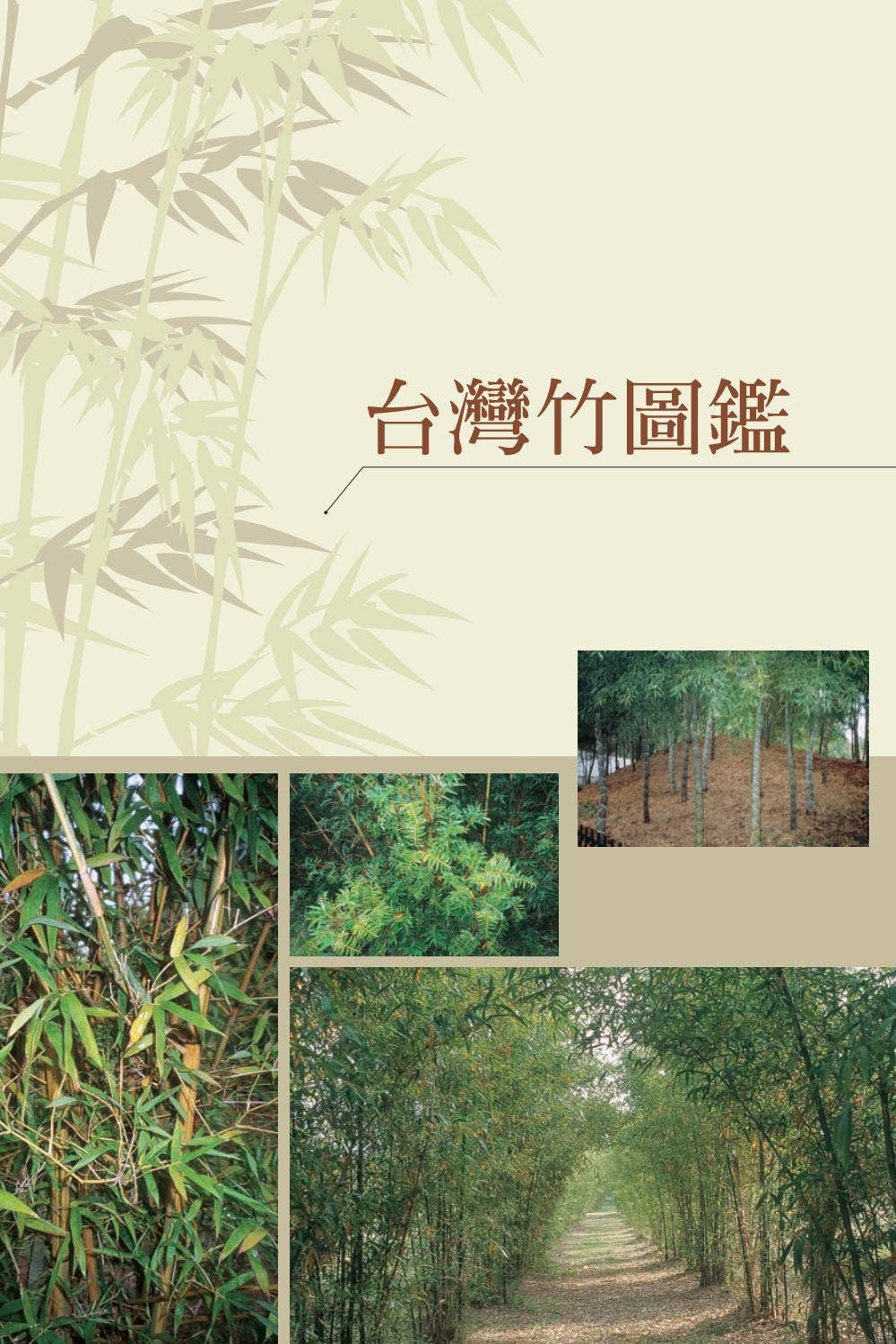 台灣竹圖鑑 by huang - Issuu