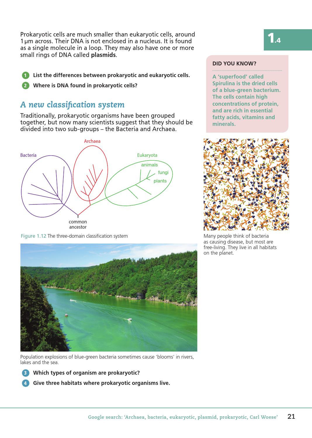 OCR GCSE Biology Student Book by Collins - Issuu