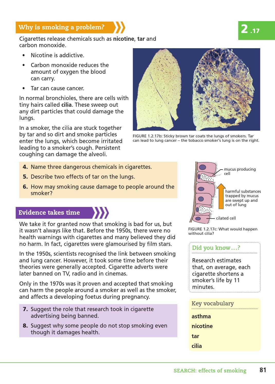 three main chemicals in cigarettes Issuu