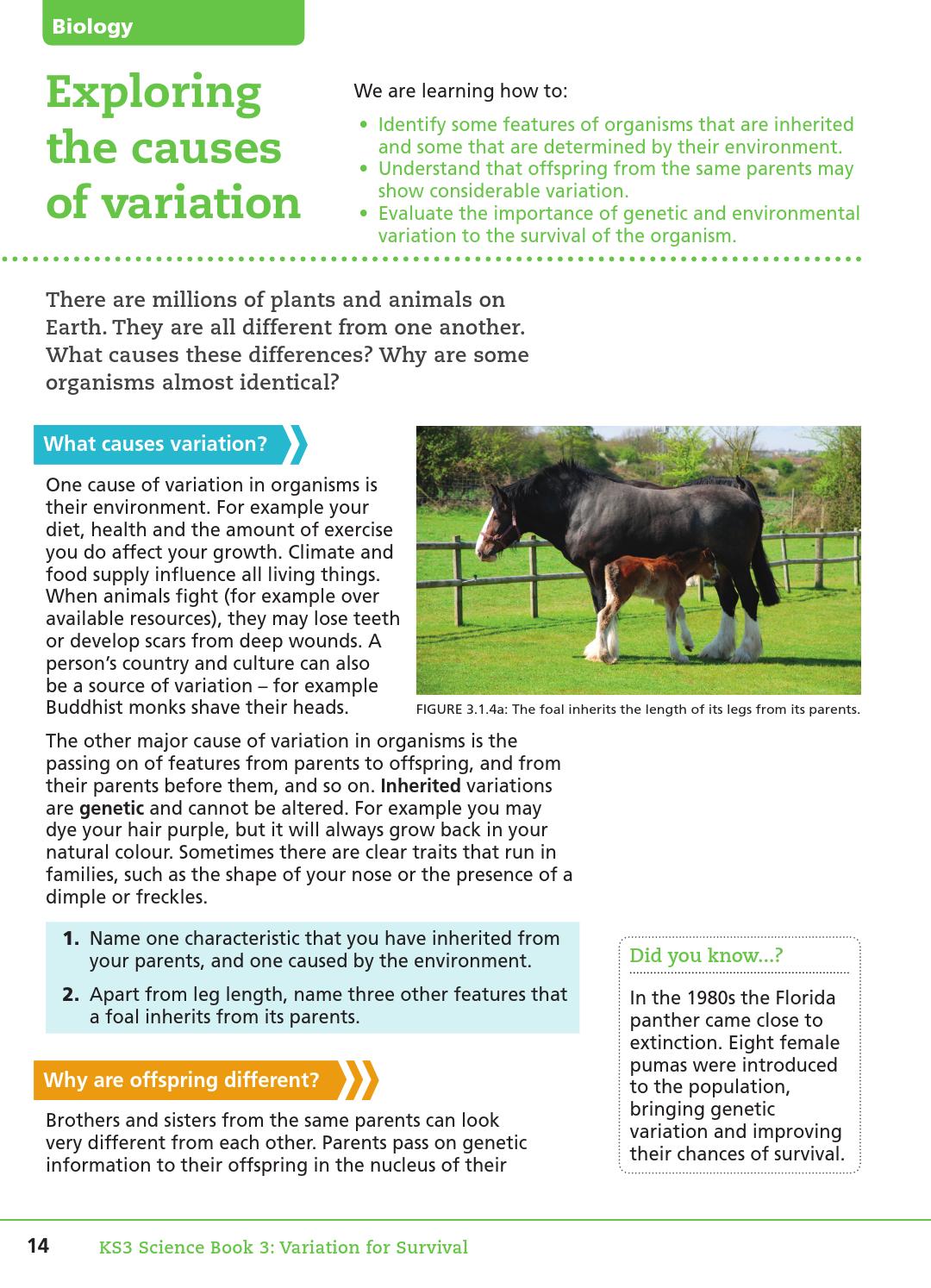 Features of the organism environment Features of the organism environment
