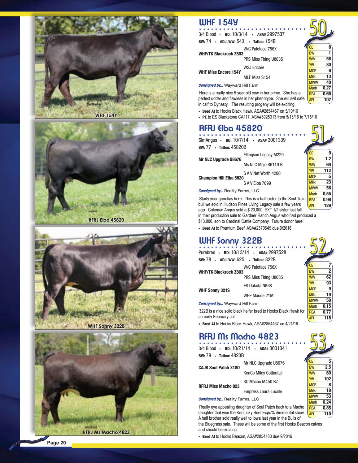 Belles Of The Bluegrass 16 Cat By Barbour Marketing Solutions Llc Issuu