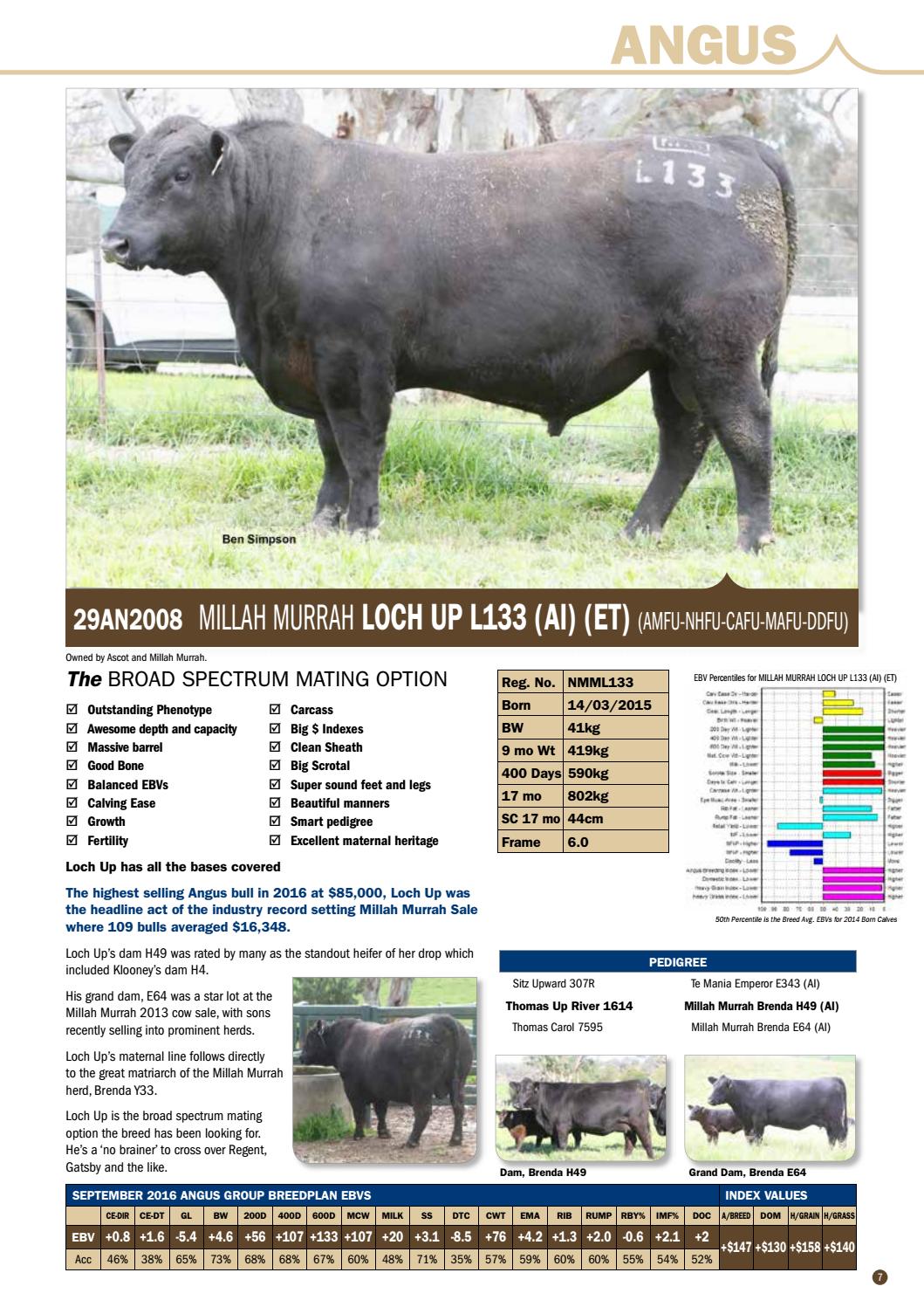 ABS Australia 2016/17 Beef Sire Directory by ABS Global, Inc. Issuu