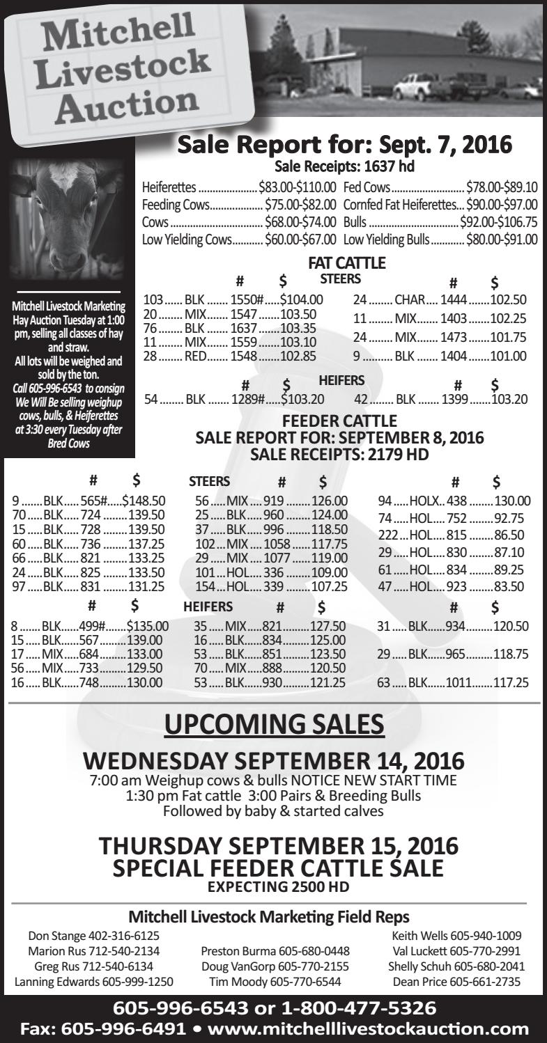 Mitchell Livestock Auction by TriState Livestock News Farmer