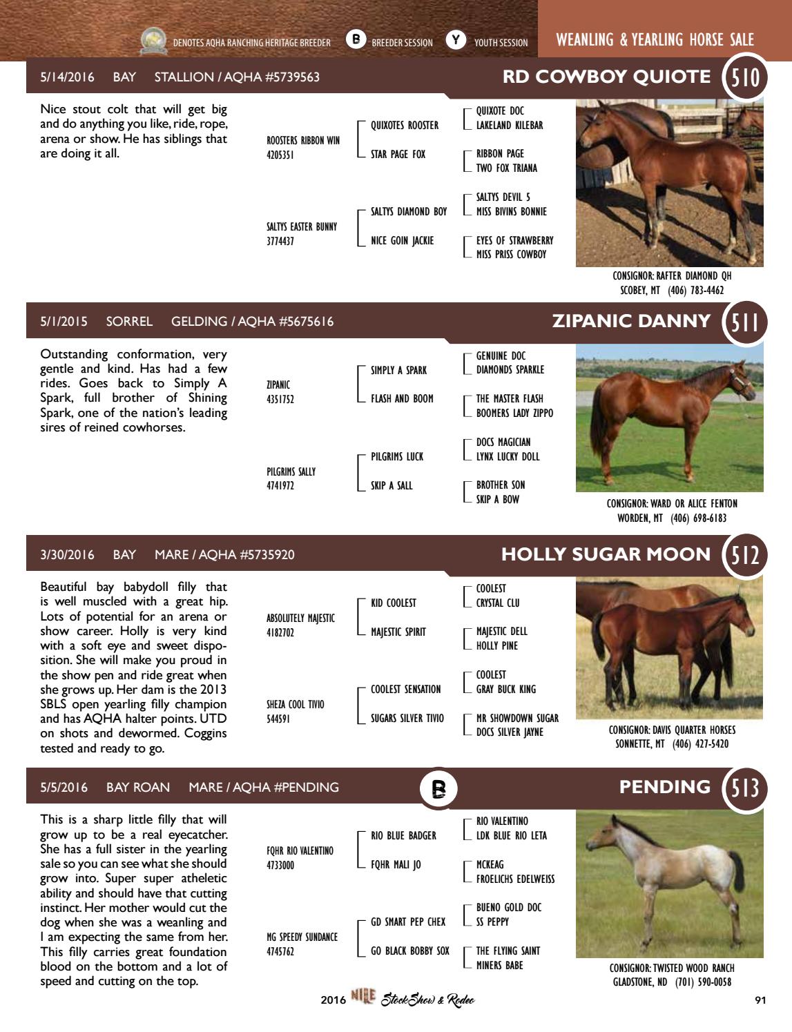 2016 NILE Premier Issue & Horse Sale Catalog by TriState Livestock