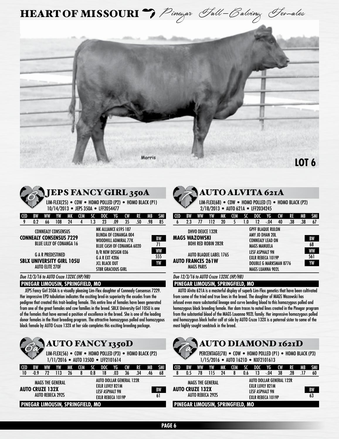 2019 】 ð¤ COW PICTURES - cow pictures to print and colour ⭐ highland cow