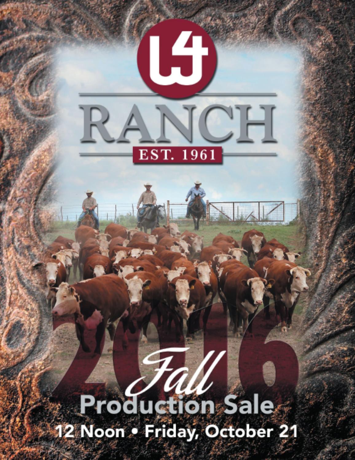 2016 W4 Ranch Sale Catalog by Ranch House Designs Issuu