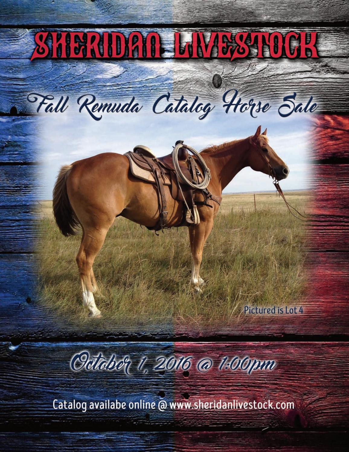 Sheridan Livestock 2016 Fall Remuda Horse Sale by LivestockDirect Issuu