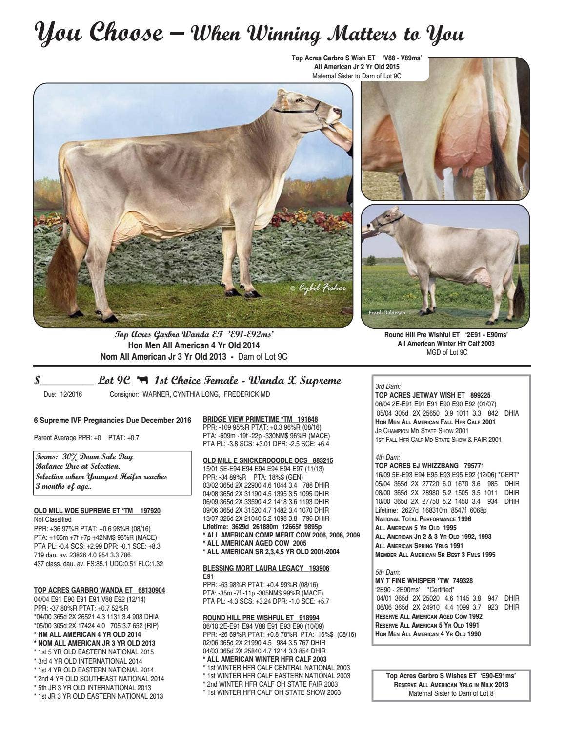 World Premier Brown Swiss Sale 2016 by Cowsmopolitan - Issuu